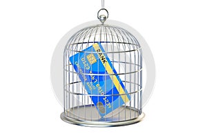 Birdcage with credit card locked inside, 3D rendering