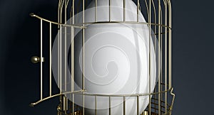 Birdcage with egg inside