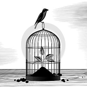 Birdcage with a plant sprout inside and a sitting bird