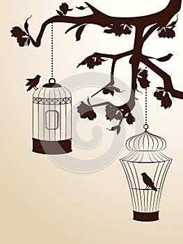Birdcages and birds
