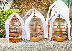 Birdcages at the Yuen Po Street Bird Garden in Hong Kong
