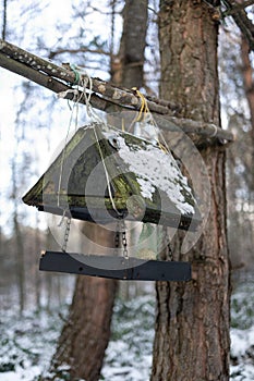 Birdfeeder for feeding bird in winter