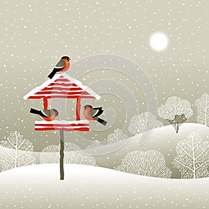 Birdfeeder in winter forest