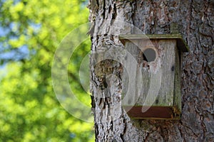 Birdhouse