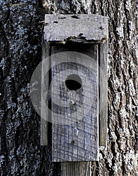 Birdhouse