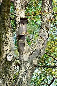 Birdhouse