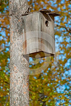 Birdhouse