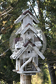 Birdhouse photo