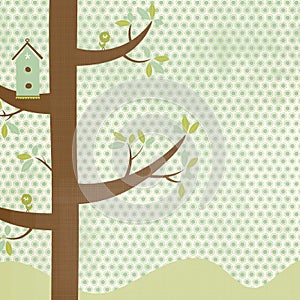 Birdhouse Background