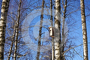 Birdhouse on a birch tree in winter forest