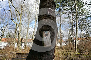 Birdhouse and bird feeders in the garden in February. Berlin, Germany