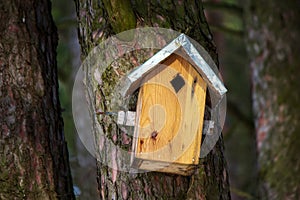 Birdhouse, bird house on a tree