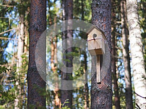 Birdhouse