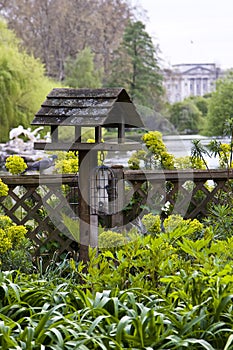 Birdhouse with Buckingham Palace as background