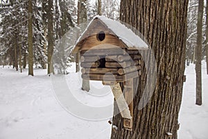Birdhouse in cold winter forest