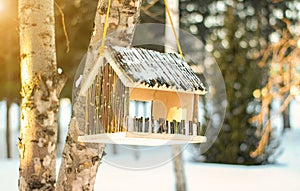 Birdhouse feeder on a birch tree in winter. Sun beam