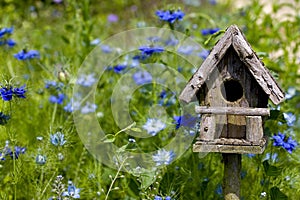 Birdhouse Among the Flowers photo