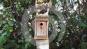 Birdhouse in the front gardenÐ¼