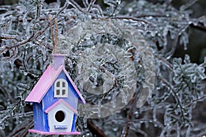 Birdhouse hanging on ice covered tree branches