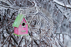 Birdhouse hanging on ice covered tree branches