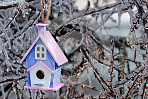 Birdhouse hanging on ice covered tree branches