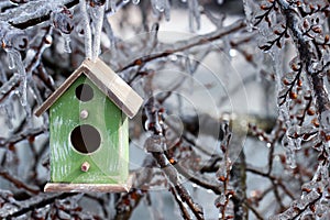 Birdhouse hanging on ice covered tree branches