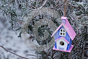 Birdhouse hanging on ice covered tree branches