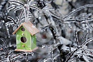 Birdhouse hanging on ice covered tree branches