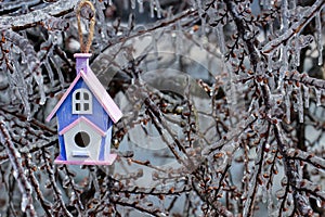 Birdhouse hanging on tree branch covered with ice