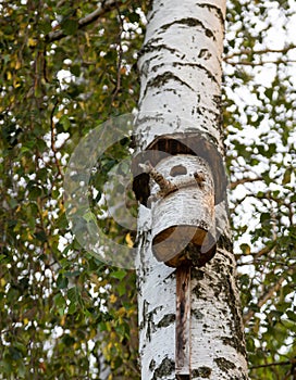 The birdhouse is made of a tree trunk on the shore