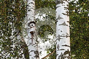 The birdhouse is made of a tree trunk on the shore