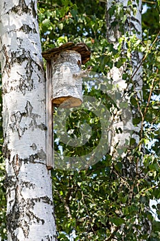 the birdhouse is made of a tree trunk on the shore