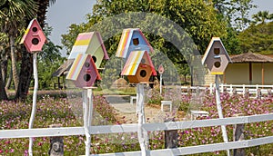 The birdhouse is made of wooden like a small residential house, painted beautifully, provided for a bird to make its nest in