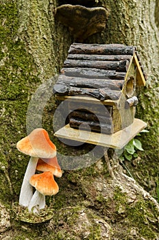 Birdhouse and mushroom in forest scene