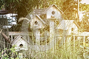 Birdhouse nestles