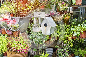 Birdhouse nestles among spring flowers