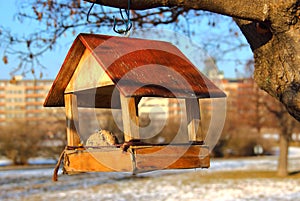 Birdhouse