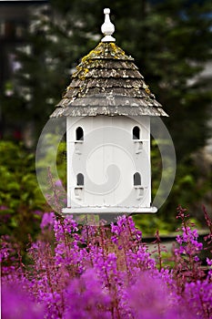 Birdhouse and Pink Flowers