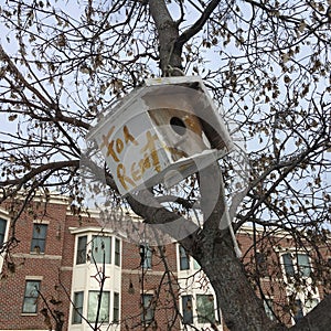 Birdhouse with `for rent` sign hanging in tree in front of an apartment building