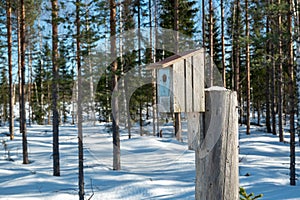 Birdhouse on a stump in northern Sweden