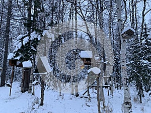 Birdhouse titmouse in a snowy forest - a closed artificial nest for small birds, Wooden houses on trees