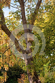 Birdhouse on a tree