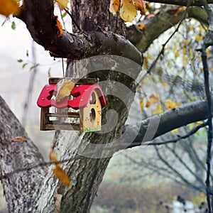 Birdhouse on a tree