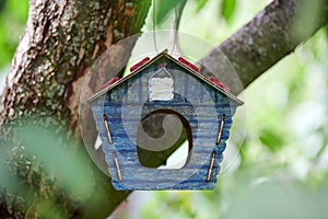 Birdhouse on tree