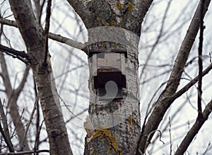 Birdhouse on a tree