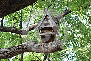 Birdhouse on the tree