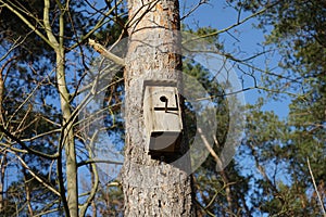 Birdhouse on a tree in a Berlin forest in winter. Berlin, Germany