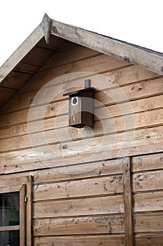 Birdhouse on a tree in the forest. Birdhouse in nature.