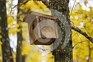 birdhouse on a tree in forest Park , hand wood shelter for birds to spend the winter