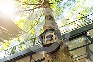 A birdhouse in the tree that gives a warm feeling through the light that comes through the tree